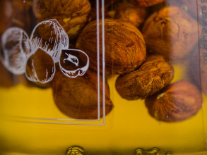 Мёд натуральный лесной с фундуком, 240 г. купить в Минске, Мед, шоколад, батончики