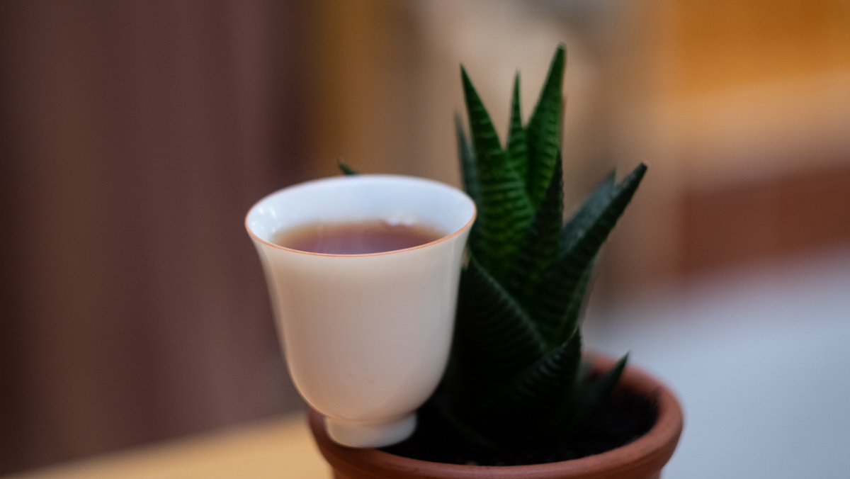 Профессор Цусида об изобретении ГАБА чая: «Я хотел дать фермерам стимул для роста и развития»