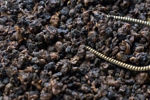 ГАБА "Черный Хлеб", "АА", Таиланд купить в Минске, ГАБА