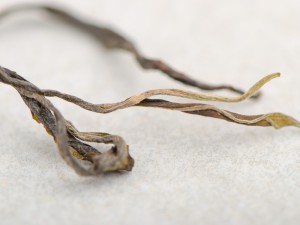 Шэн Пуэр Цзю Сян, Бу Лань Шань, 2022г. купить в Минске, Шэн пуэр (зеленый)