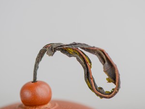Иван-чай &quot;Ягодный&quot;, 2025г. купить в Минске, Иван-чай