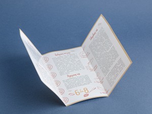 Буклет для заваривания чая ЧП, (500 шт. упаковка) купить в Минске, Упаковка товара