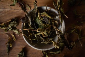 Гу Шу Е Шэн Бай Ча, 2025 г. купить в Минске, Белый чай