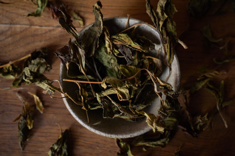 Гу Шу Е Шэн Бай Ча, 2025 г. купить в Минске, Белый чай