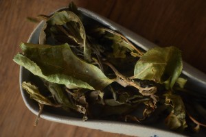 Гу Шу Е Шэн Бай Ча, 2025 г. купить в Минске, Белый чай