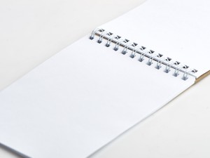 Блокнот "Желтый плод" купить в Минске, Живопись