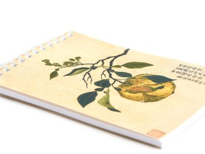 Блокнот "Желтый плод" купить в Минске, Живопись