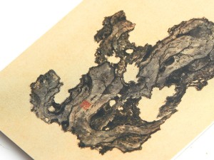 Блокнот "Камни", Живопись