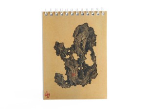 Блокнот "Камни", Живопись