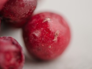 Клюква сублимированная, цельная ягода купить в Минске, HoReCa