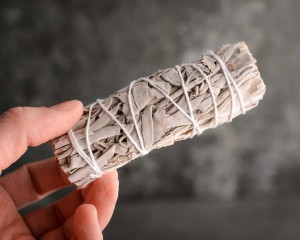 Шалфей Калифорнийский белый Mini, 11см. купить в Минске, Благовония