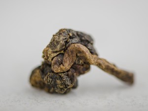Габа Флэш &quot;АА&quot; купить в Минске, ГАБА