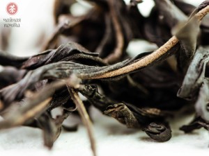 Цзю До Цзы Дань Цун &quot;ААА&quot; (Одинокие Кусты с Острозубчатыми листьями) купить в Минске, Новинки