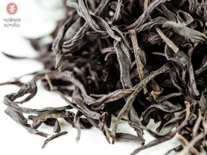 Цзю До Цзы Дань Цун &quot;ААА&quot; (Одинокие Кусты с Острозубчатыми листьями) купить в Минске, Новинки