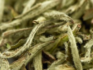 Бай Хао Инь Чжень "АА", 2018 г. купить в Минске, Белый чай