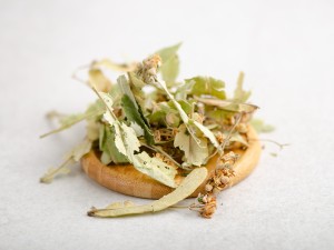 Липа (цветки и листья) купить в Минске, Травяной чай