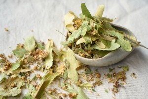 Липа (цветки и листья) купить в Минске, Популярное