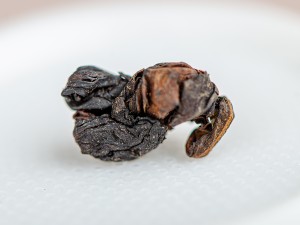 Лао Те Гуань Инь Лао Цун Чжэнь Шань, &quot;ААА&quot;, 2019г. купить в Минске, Улун