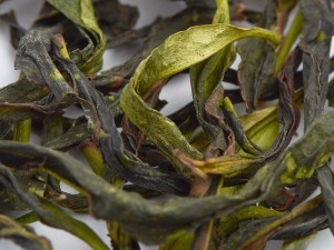 Бин Сян Дань Цун (Одинокие кусты с морозным ароматом) "АА" купить в Минске, Гуандунский