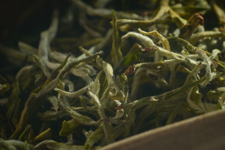 Юньнань Сюэ Я (Снежная почка из Юньнани), "АА" купить в Минске, Зеленый чай