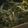 Юньнань Сюэ Я (Снежная почка из Юньнани), "АА" купить в Минске, Зеленый чай