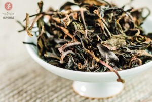 ГАБА Мао Ча купить в Минске, Улун