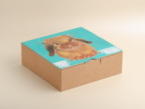 Подарочная коробка &quot;Помогаю Детям&quot; #106, 20х20х6.5 см. купить в Минске, Упаковка
