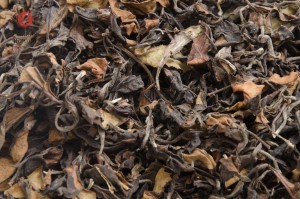 Краснодарский белый чай из Хосты, (органический, ручной сбор), осень 2017г. купить в Минске, Белый чай