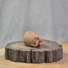 Фигурка #580, глина, 9х5 см купить в Минске, Фигурки на чабань
