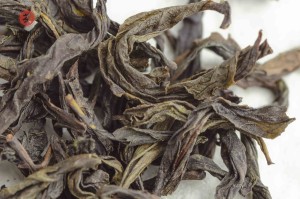 Цзинь Бьен Ци Лань &quot;ААА&quot; (Чудесная Орхидея) купить в Минске, Уишаньский