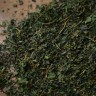 Листья Тутовника, Грузия купить в Минске, Добавки в чай