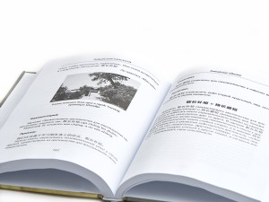 Книга "Китайские идиомы", Сунь Чжичжэн, Книги о чае и Китае