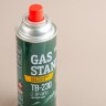 Газовый баллон "GAS STANDARD TB-230" купить в Минске, Для варки