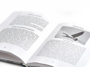 Книга "Китайские притчи", Ян Юаньмэй, Го Пэн, Ван Даяо, Книги о чае и Китае