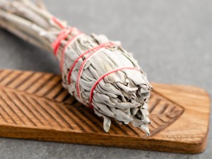 Шалфей Калифорнийский белый на ножке, 12см., 15-20г. купить в Минске, Благовония
