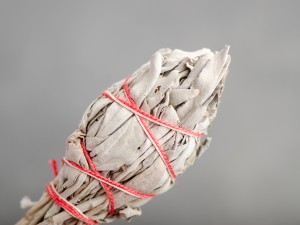 Шалфей Калифорнийский белый на ножке, 12см., 15-20г. купить в Минске, Благовония