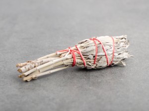 Шалфей Калифорнийский белый на ножке, 12см., 15-20г. купить в Минске, Благовония
