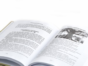 Книга "Рассказы о китайских иероглифах", Сюй Цзянь, Чжан Синь, Юй Инсянь купить в Минске, Книги о чае и Китае