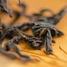 Уи Шань Е Шен Хун Ча купить в Минске, Красный чай