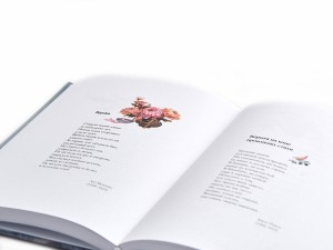 Книга "Восточный склон", китайская поэзия в переводах Е.В.Витковского купить в Минске, Книги о чае и Китае