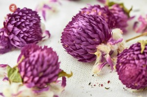 Цветы Амаранта (Гомфрена шаровидная) купить в Минске, Цветы