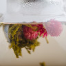 Связанный чай с цветами со вкусом манго "Дерево Красоты" купить в Минске, Зеленый чай