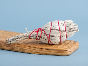 Шалфей Белый на ножке, 11 см., 15-20 г. купить в Минске, Благовония