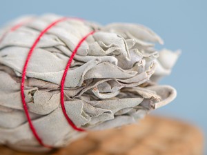 Шалфей Белый на ножке, 11 см., 15-20 г. купить в Минске, Благовония