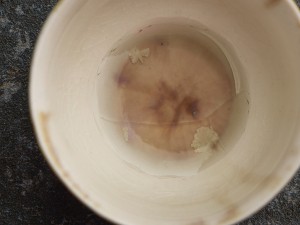 Пиала #1313, 65 мл., обливная керамика купить в Минске, Пиалы