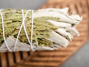 Шалфей Калифорнийский белый и Кедр купить в Минске, Благовония!