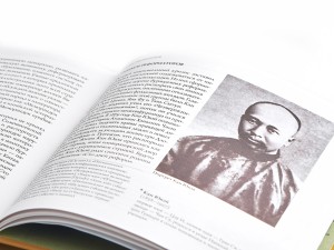 Книга &quot;Пробуждение спящего льва&quot;, Чэнь Цзянь, Ван Циньшуан купить в Минске, Посуда месяца