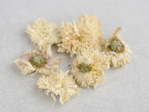 Цветки Хризантемы купить в Минске, Цветы