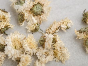 Цветки Хризантемы купить в Минске, Цветы