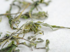 Зеленый чай &quot;Ручной&quot;, Ткибули, Грузия, 2024 г.  купить в Минске, Грузинский чай